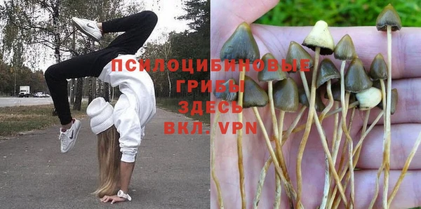 твердый Аркадак
