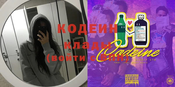 прущий лед Арсеньев