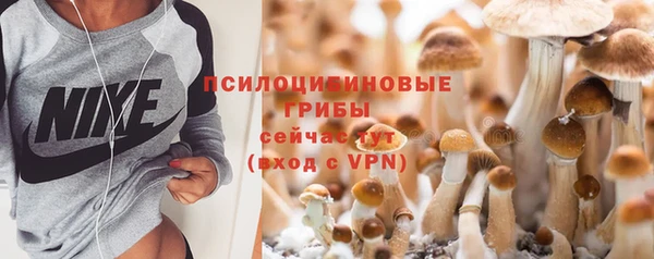 твердый Аркадак