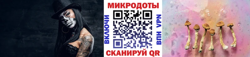Галлюциногенные грибы мухоморы  закладки  Родники 